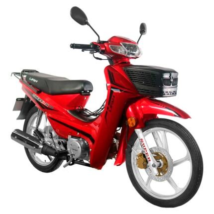 LIFAN CHEETAH 110